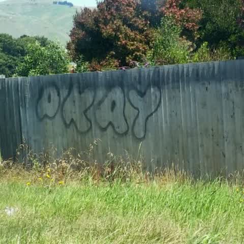 Graffiti, a report photo