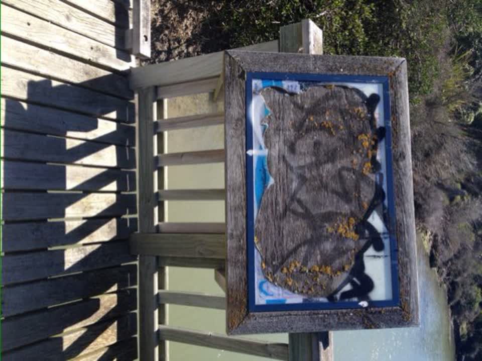 The photograph attached to this parks report