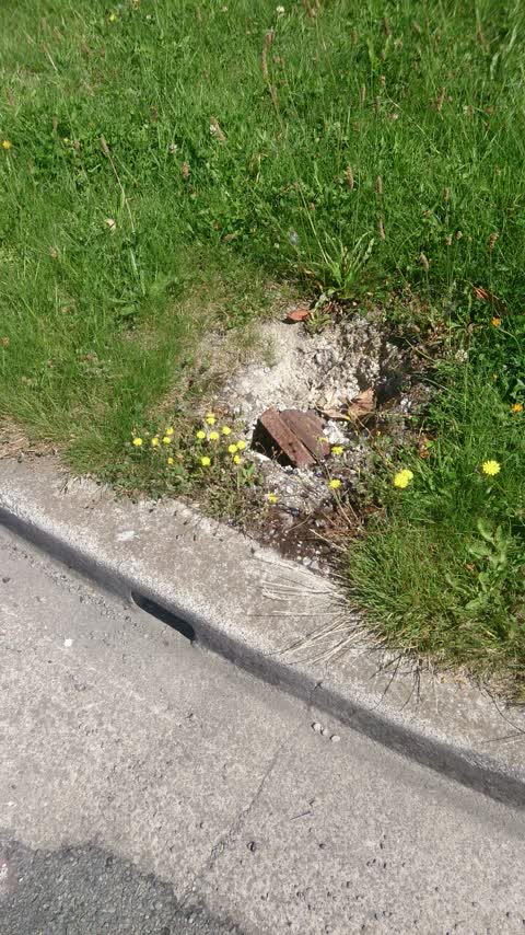Roading/Streets, a report photo