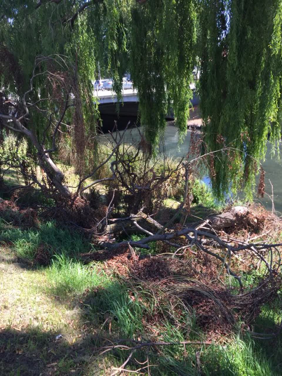 The photograph attached to this parks report