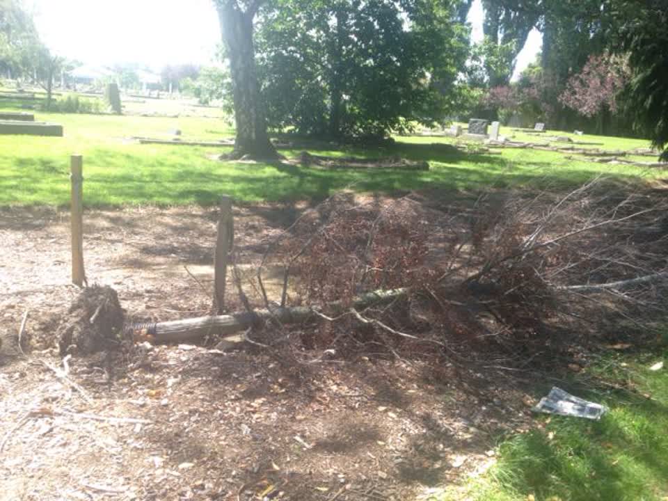 The photograph attached to this parks report