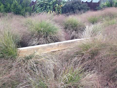 Parks, a report photo