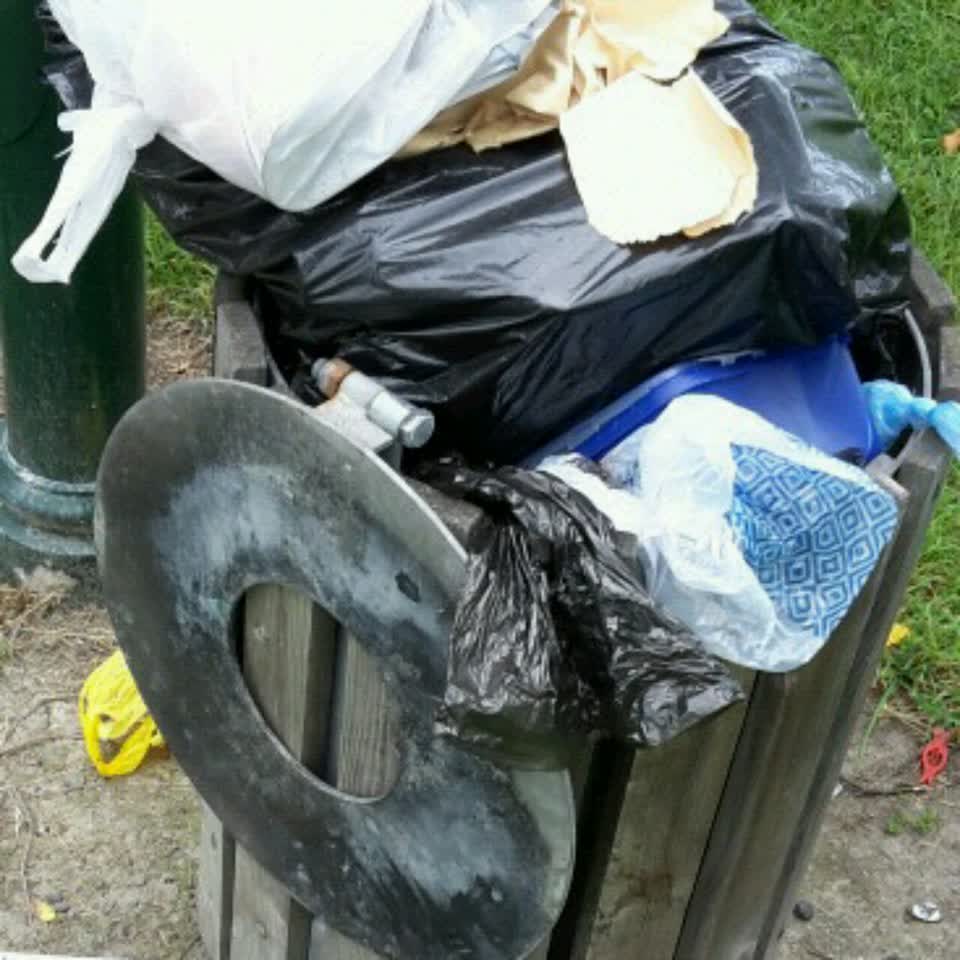 The photograph attached to this parks report
