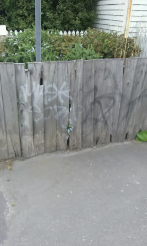 Graffiti, a report photo