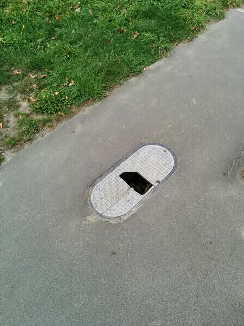 Roading/Streets, a report photo
