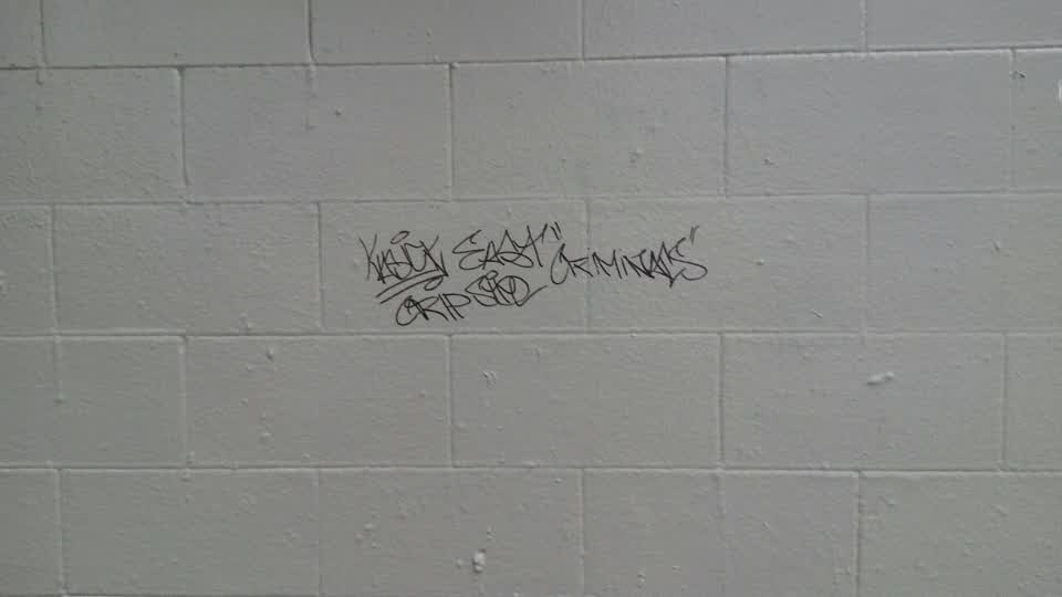 The photograph attached to this graffiti report