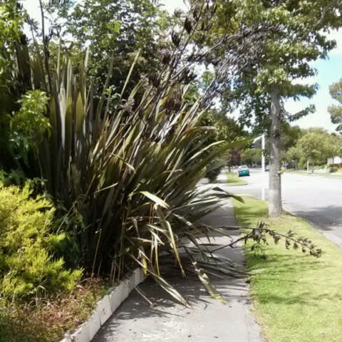 Roading/Streets, a report photo