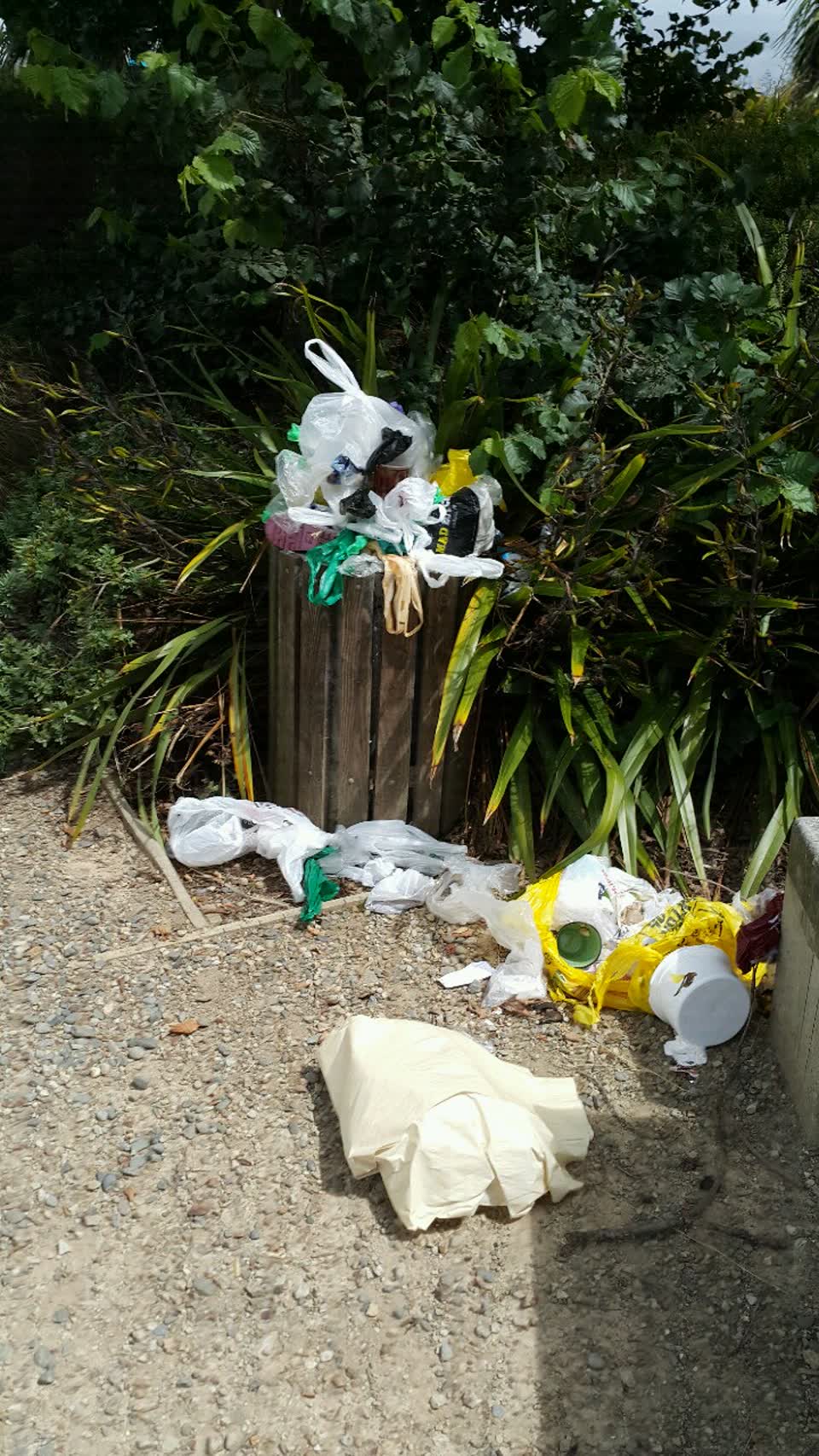 The photograph attached to this rubbish/recycling report