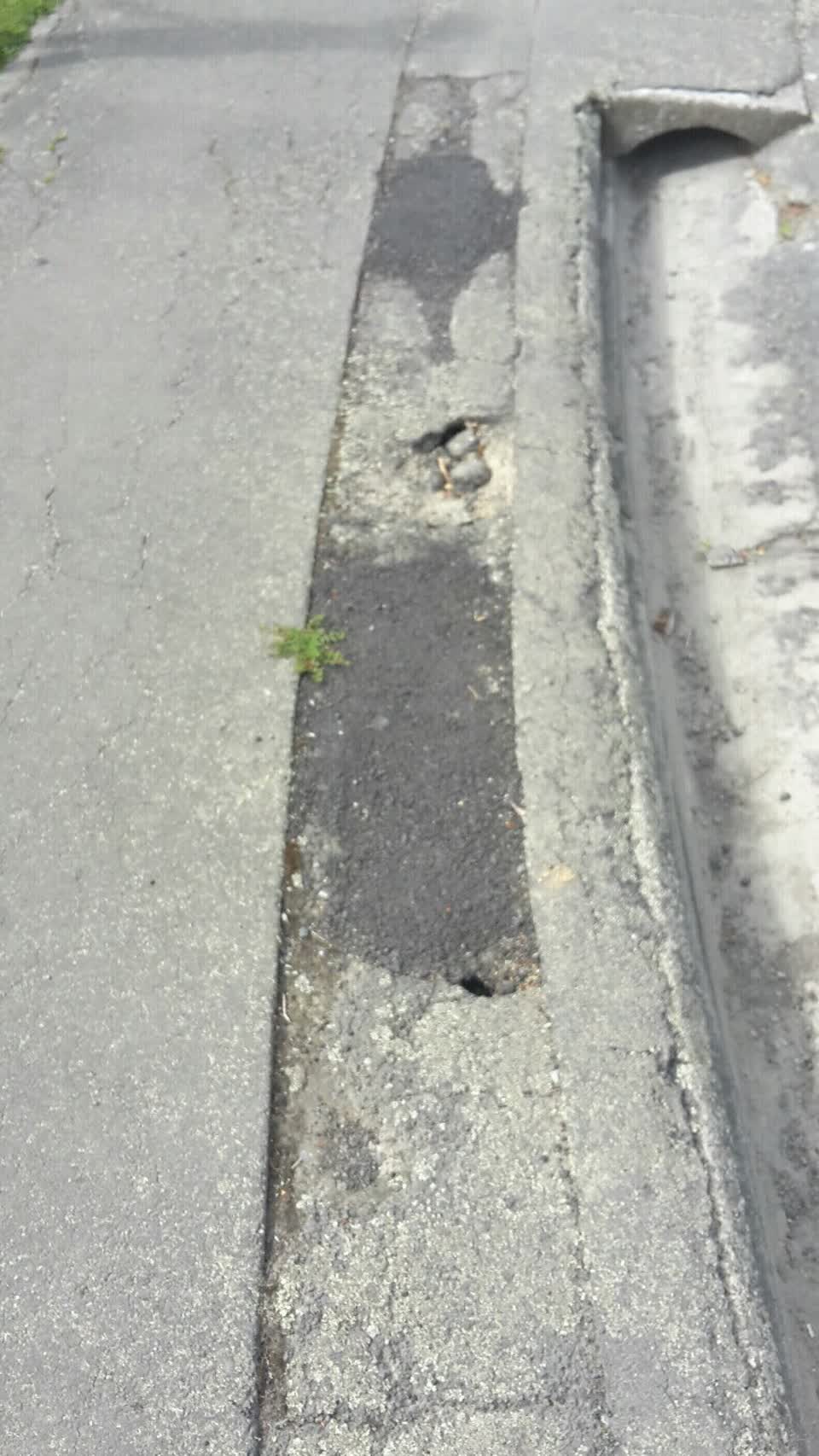 The photograph attached to this roading/streets report
