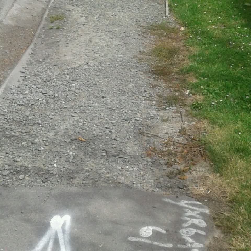 The photograph attached to this roading/streets report