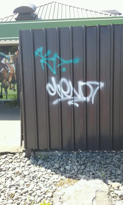 Graffiti, a report photo