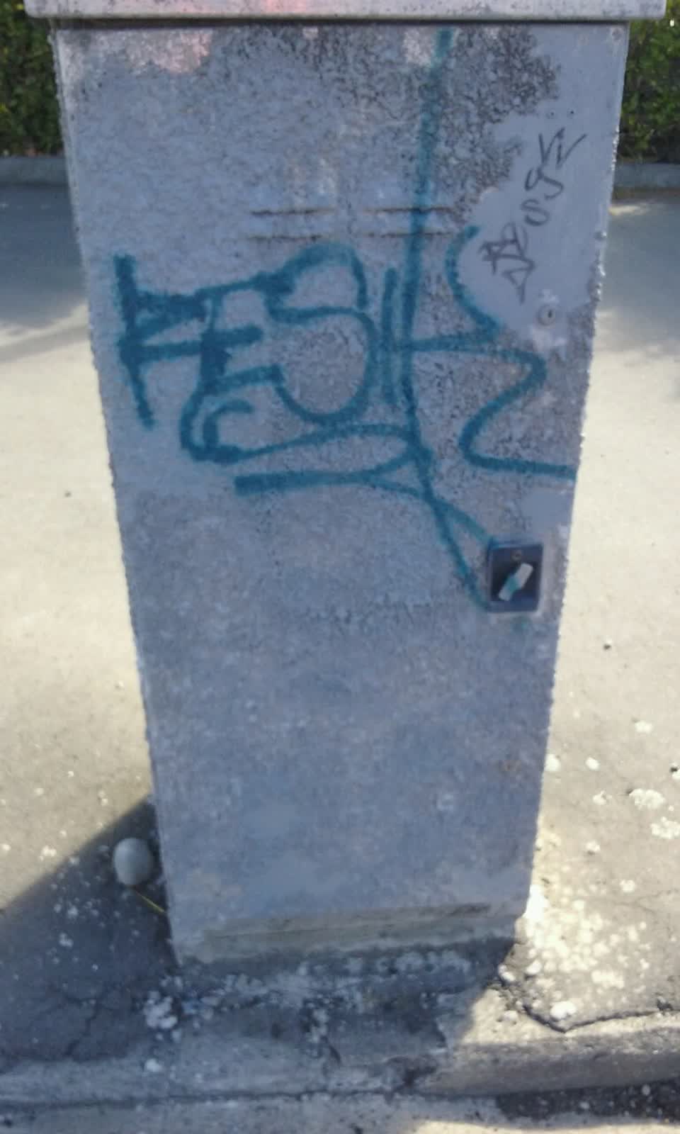 The photograph attached to this graffiti report