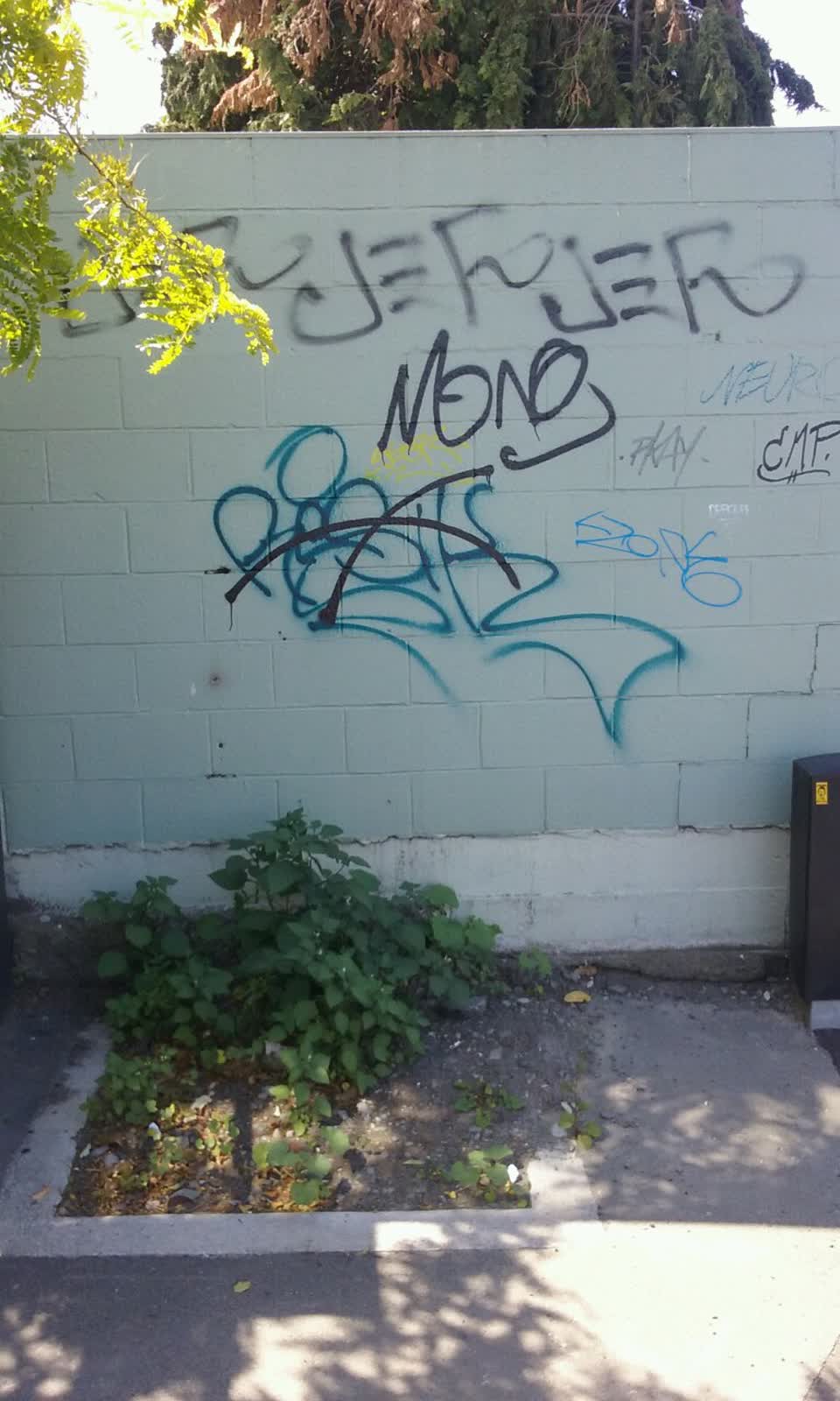 The photograph attached to this graffiti report