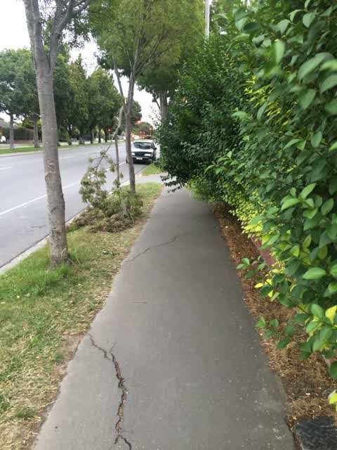 Roading/Streets, a report photo