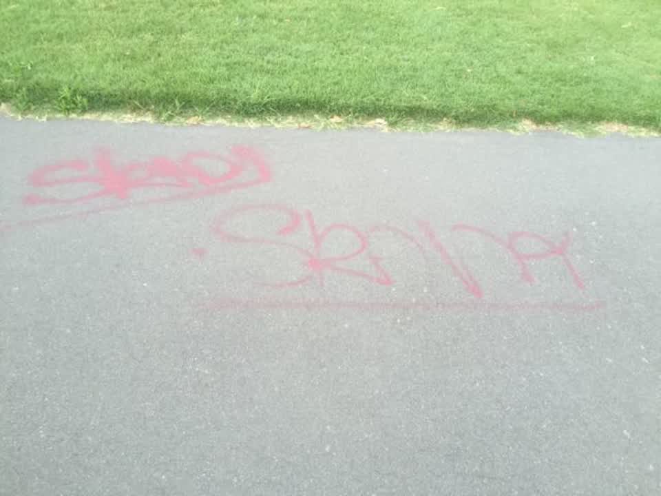 The photograph attached to this graffiti report