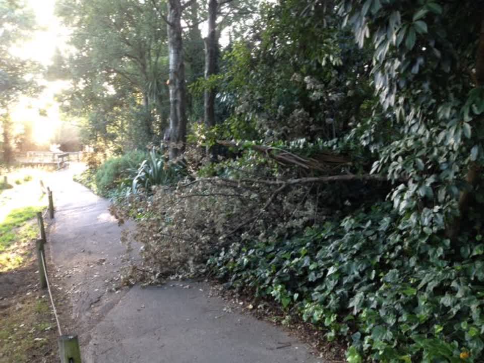 The photograph attached to this parks report