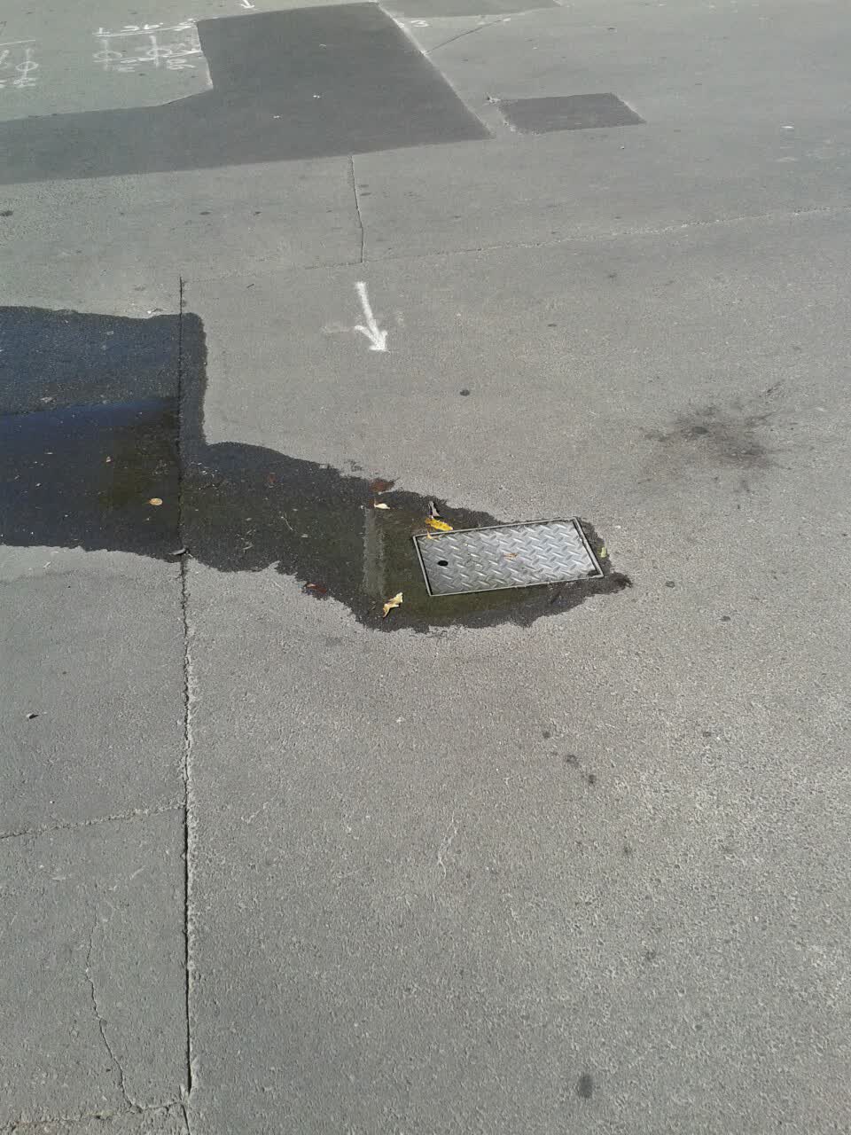 The photograph attached to this water supply report