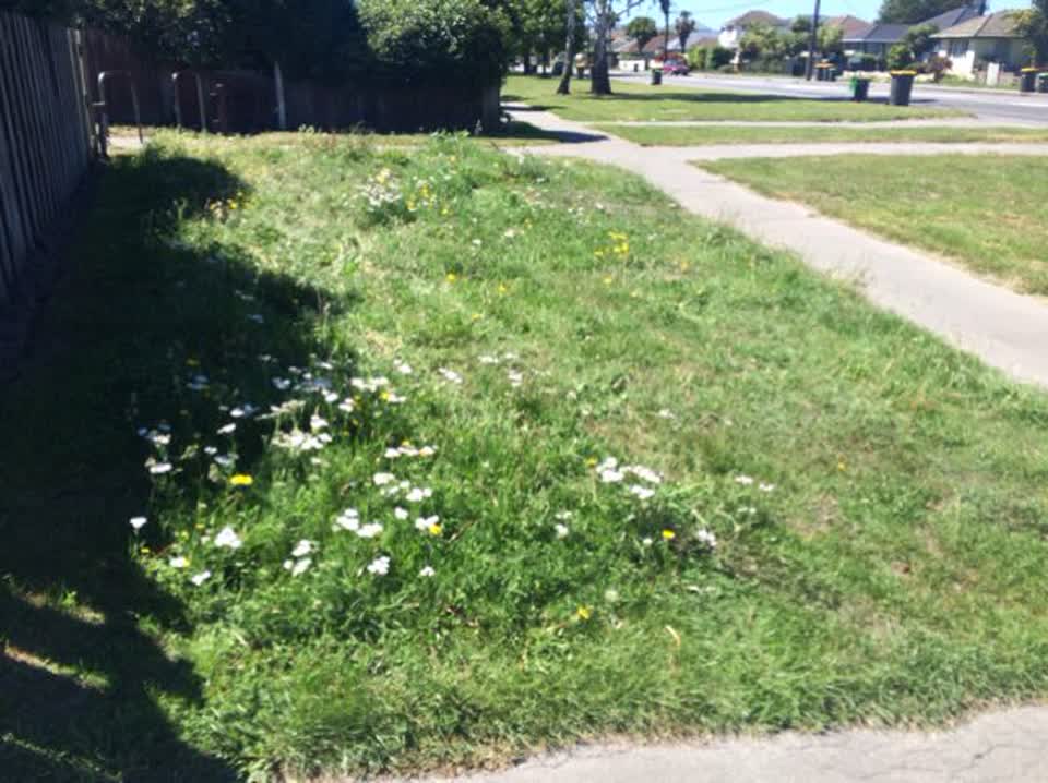 The photograph attached to this parks report