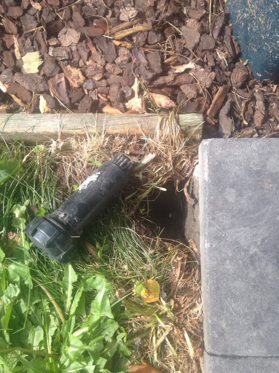 The photograph attached to this parks report