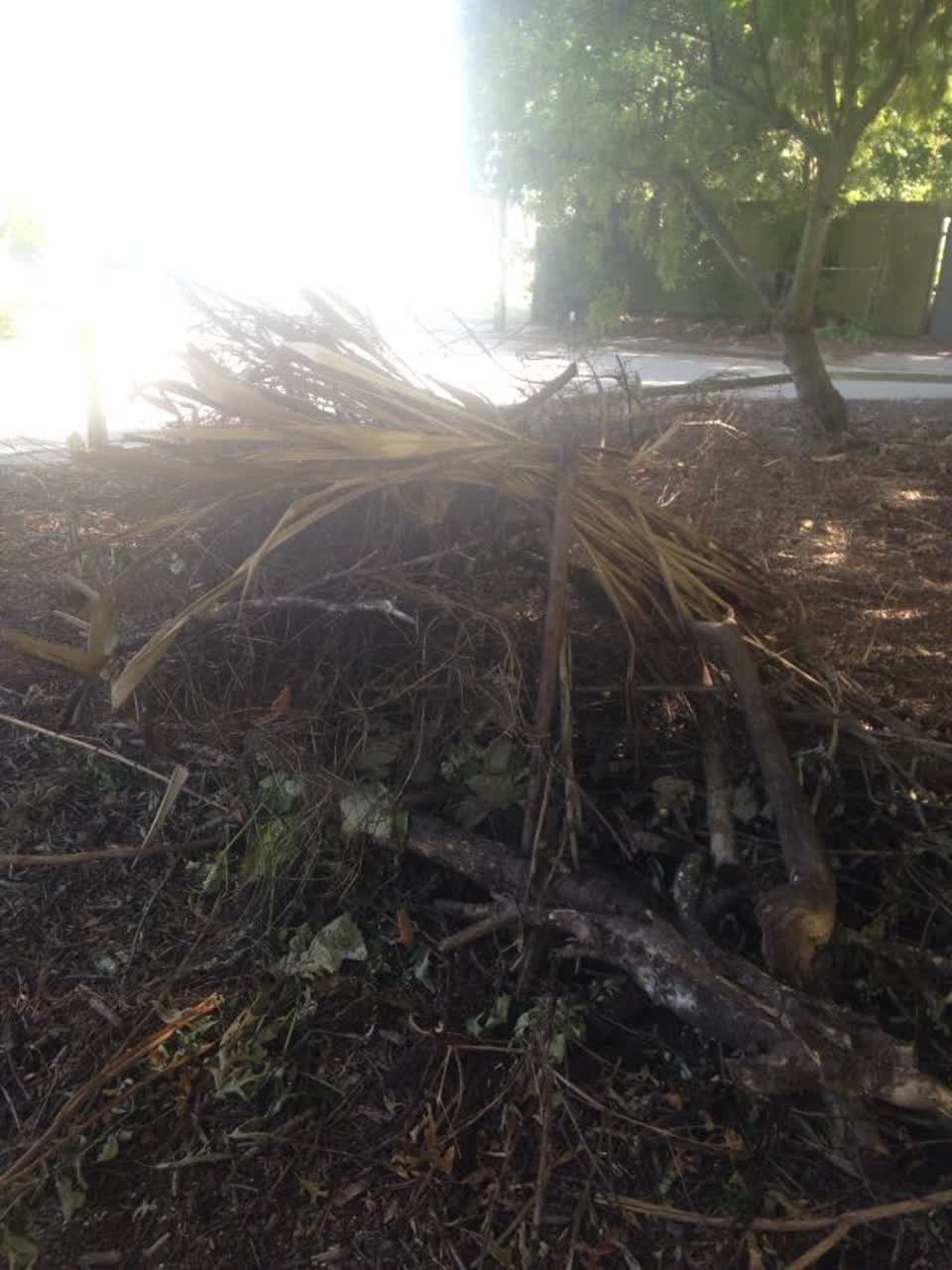The photograph attached to this parks report