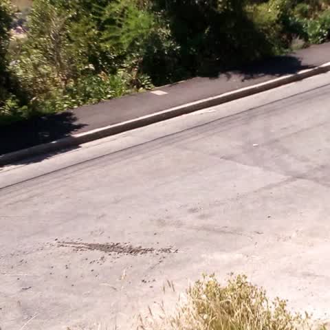 Roading/Streets, a report photo