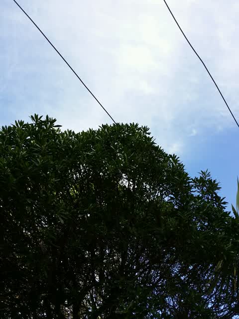 Roading/Streets, a report photo