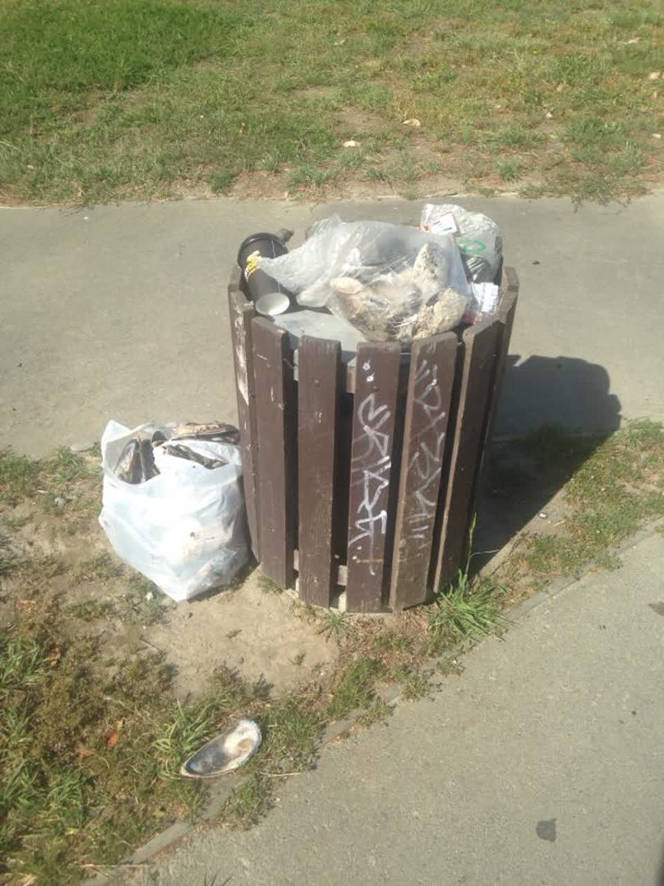 The photograph attached to this parks report