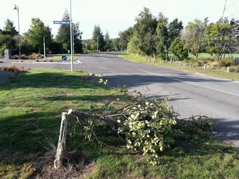 Roading/Streets, a report photo