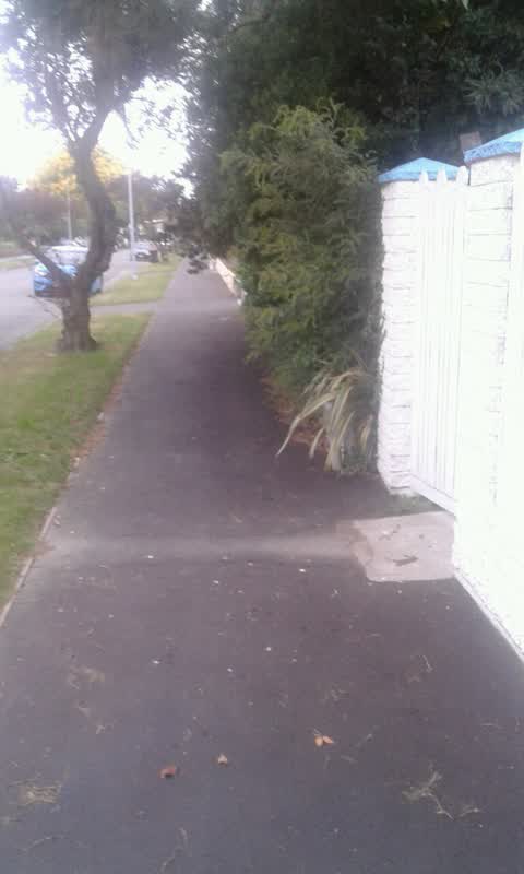 Roading/Streets, a report photo