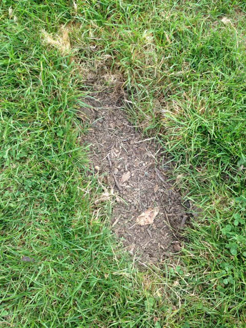 The photograph attached to this parks report