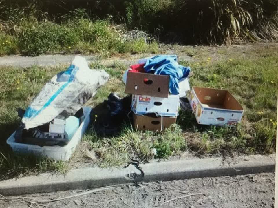 The photograph attached to this rubbish/recycling report