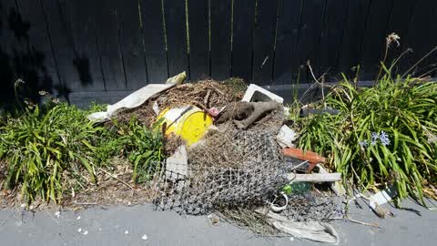 Rubbish/Recycling, a report photo