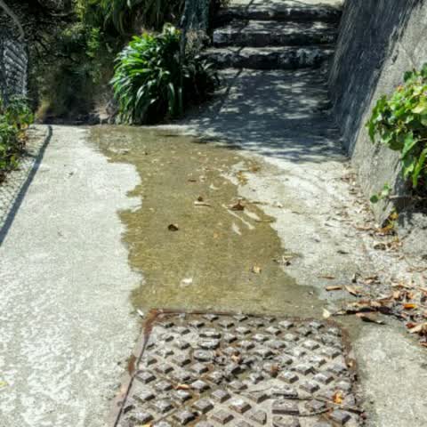 Wastewater/Stormwater — a report photo
