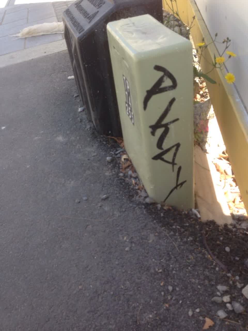 The photograph attached to this graffiti report