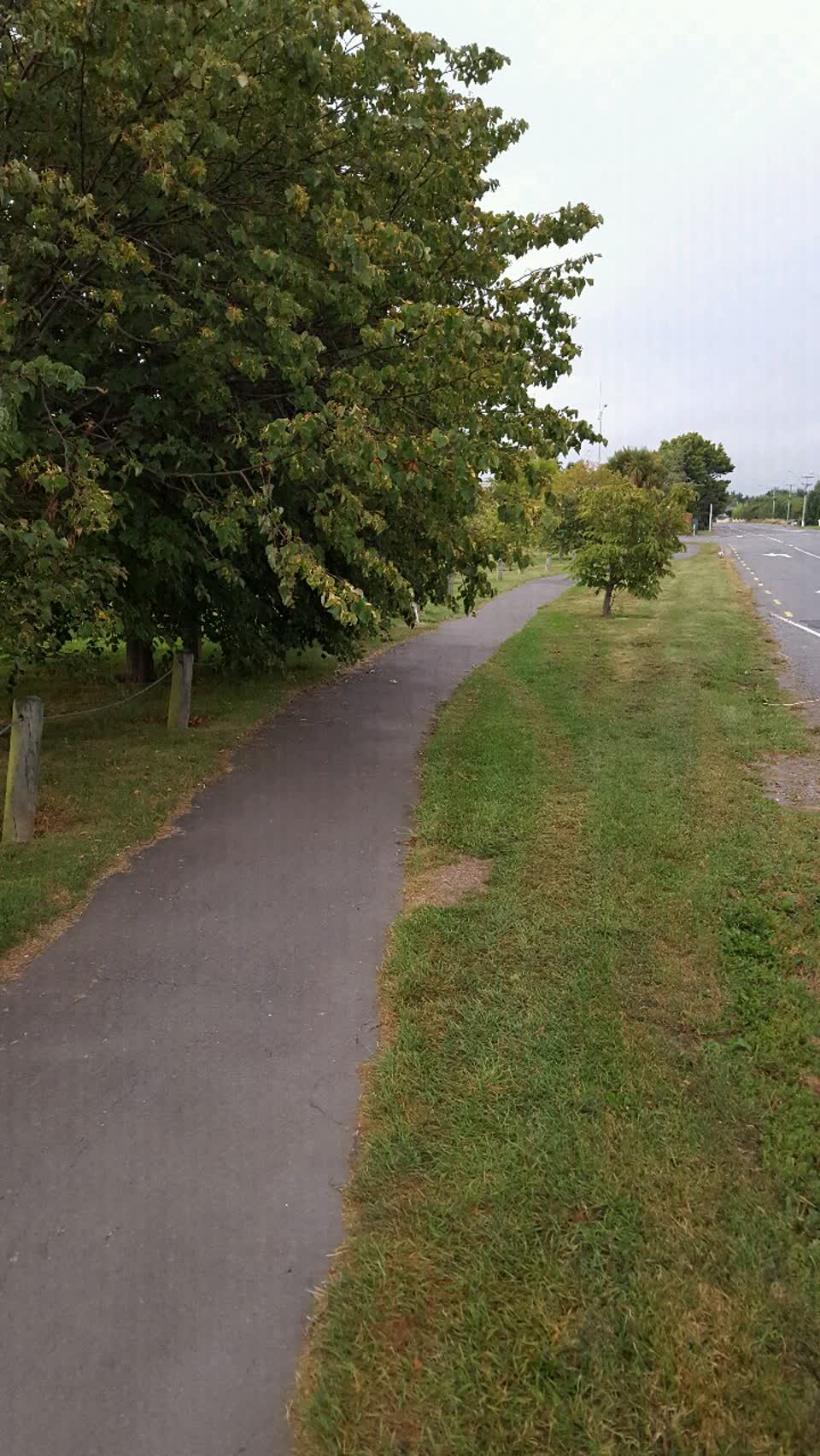 The photograph attached to this parks report