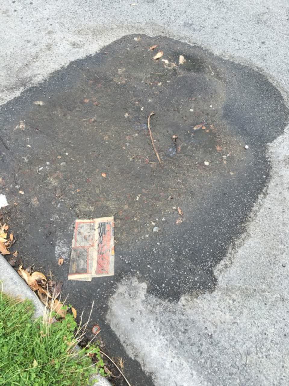 The photograph attached to this water supply report