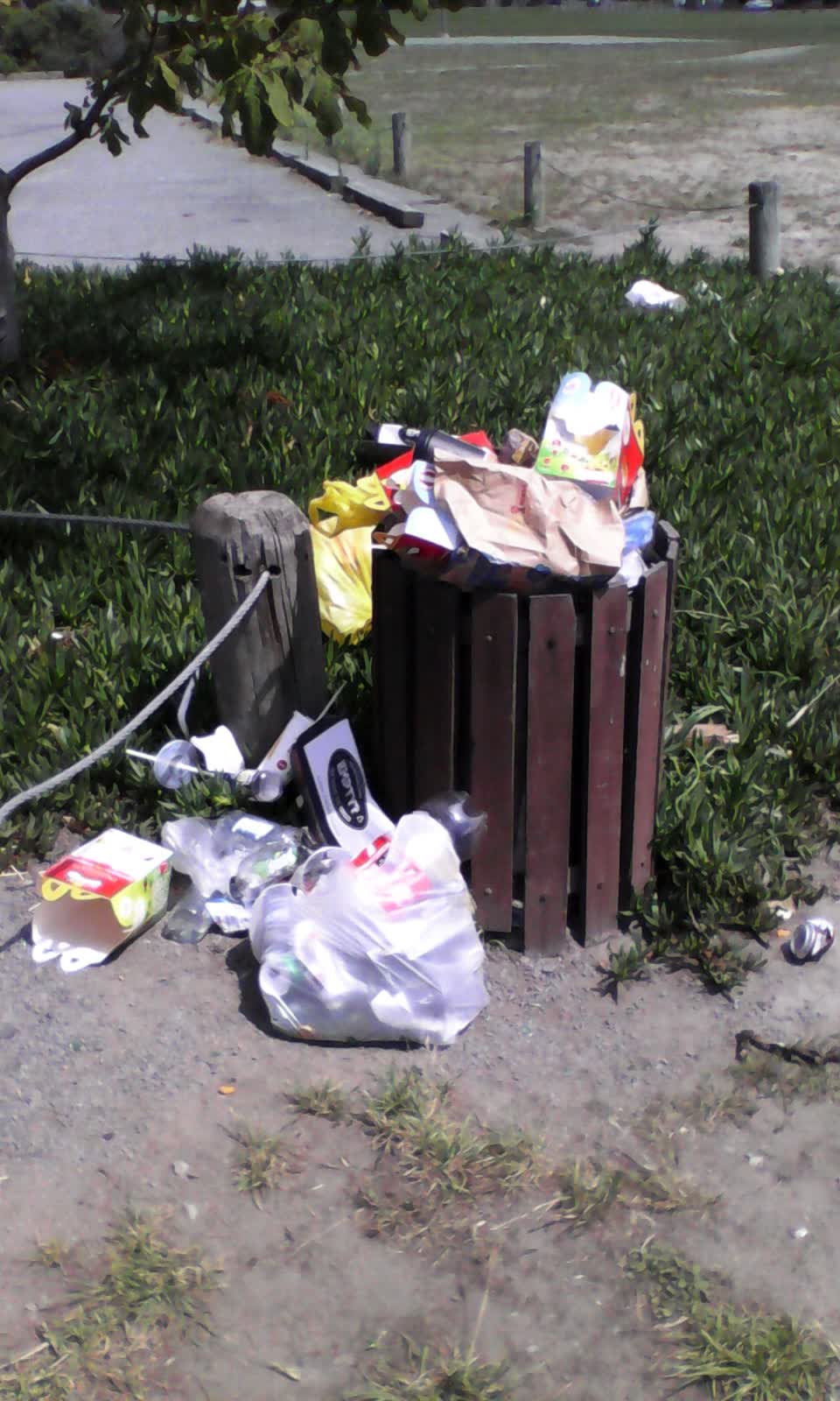 The photograph attached to this rubbish/recycling report
