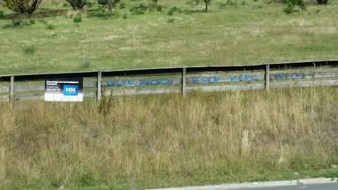 Graffiti, a report photo