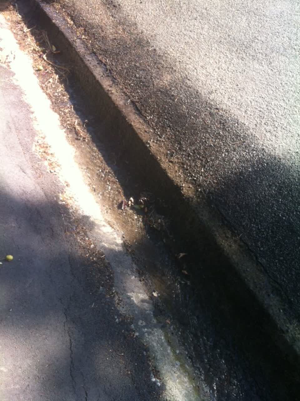 The photograph attached to this water supply report