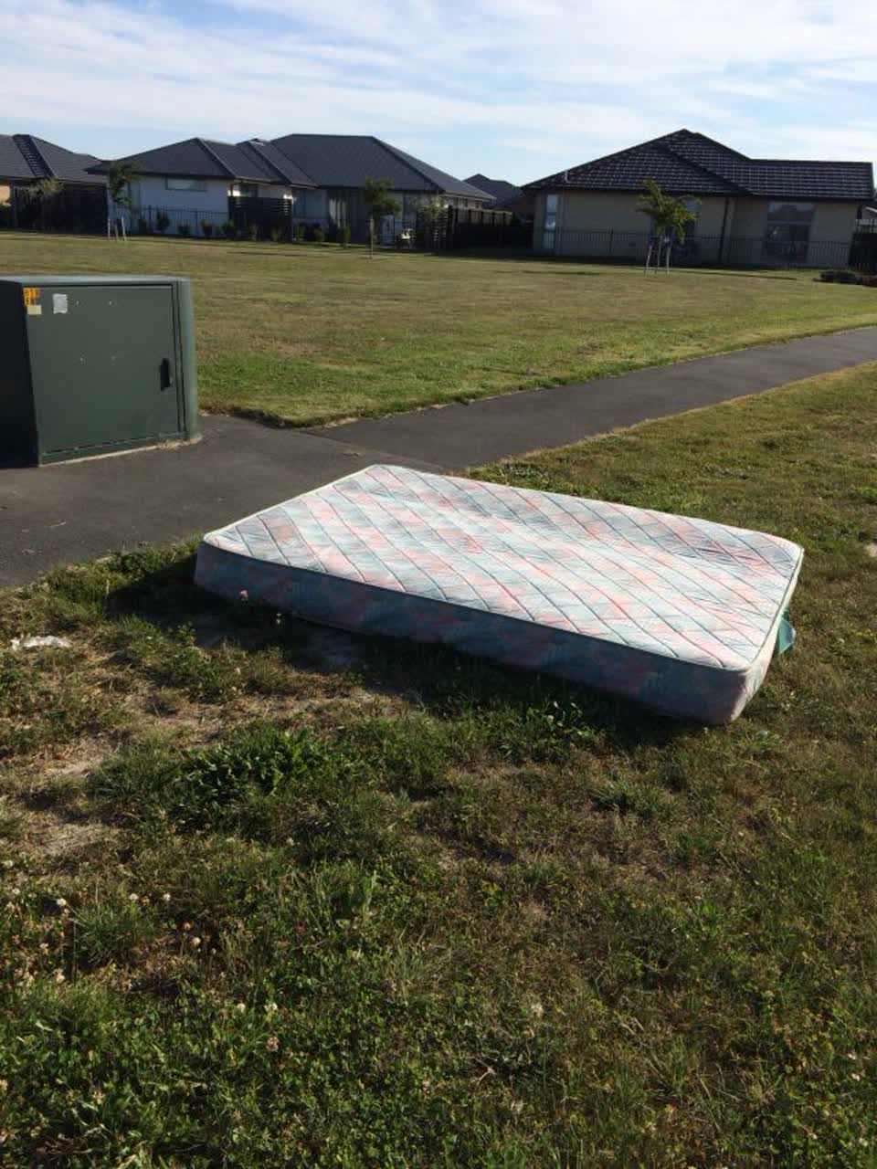 The photograph attached to this parks report