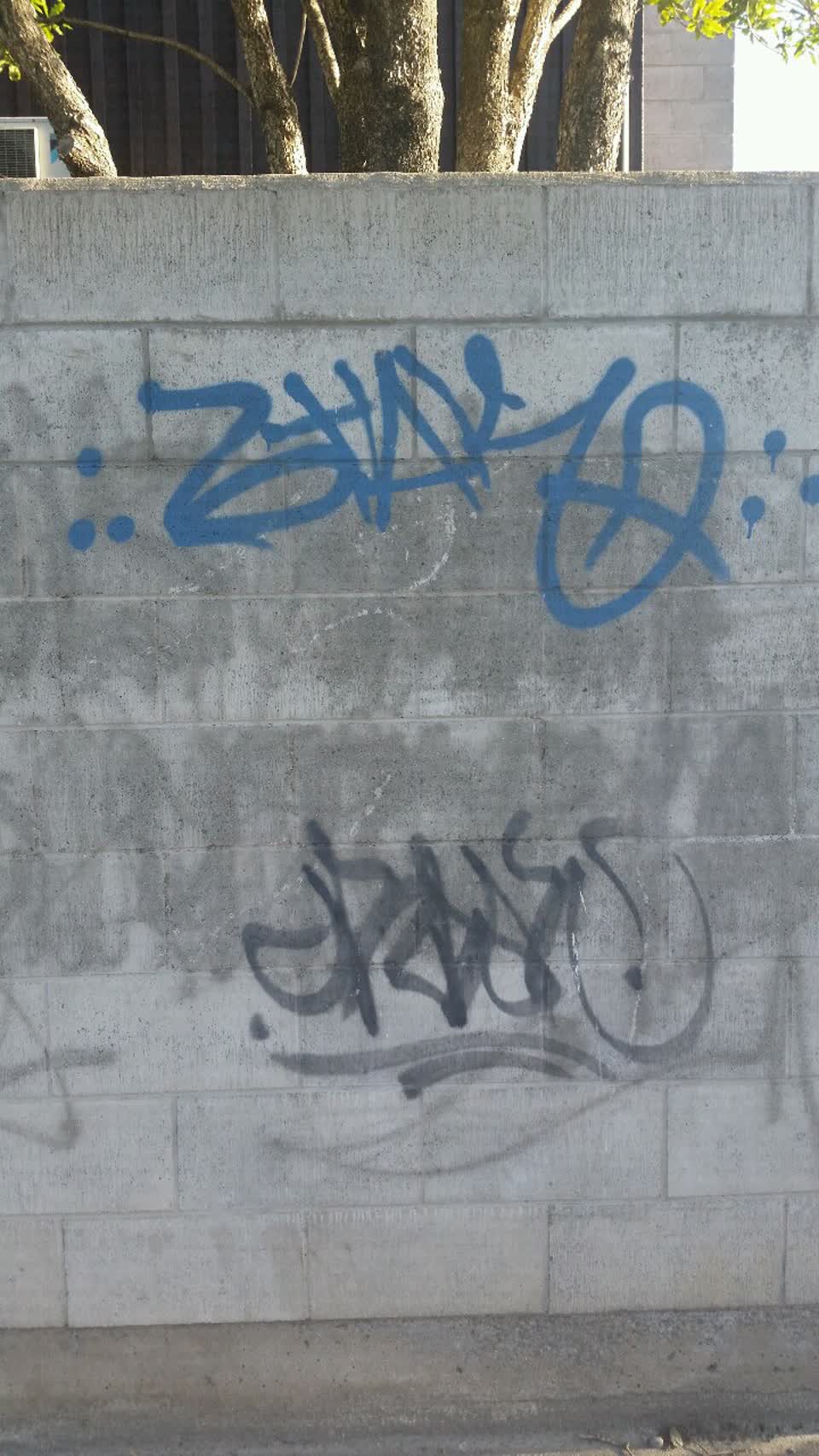The photograph attached to this graffiti report