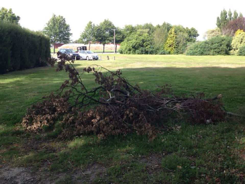 The photograph attached to this parks report