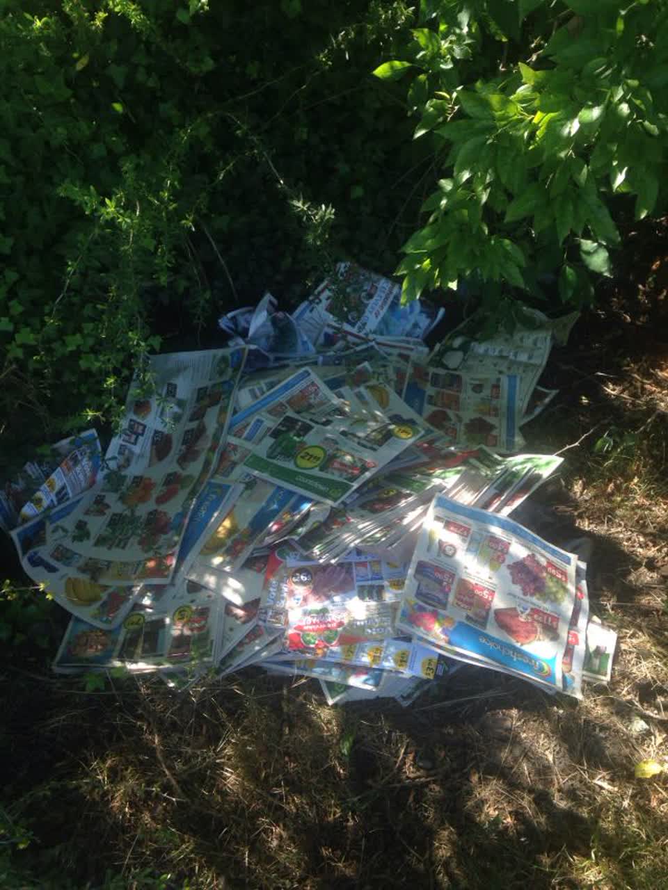 The photograph attached to this rubbish/recycling report