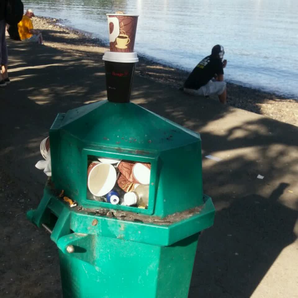 The photograph attached to this rubbish/recycling report