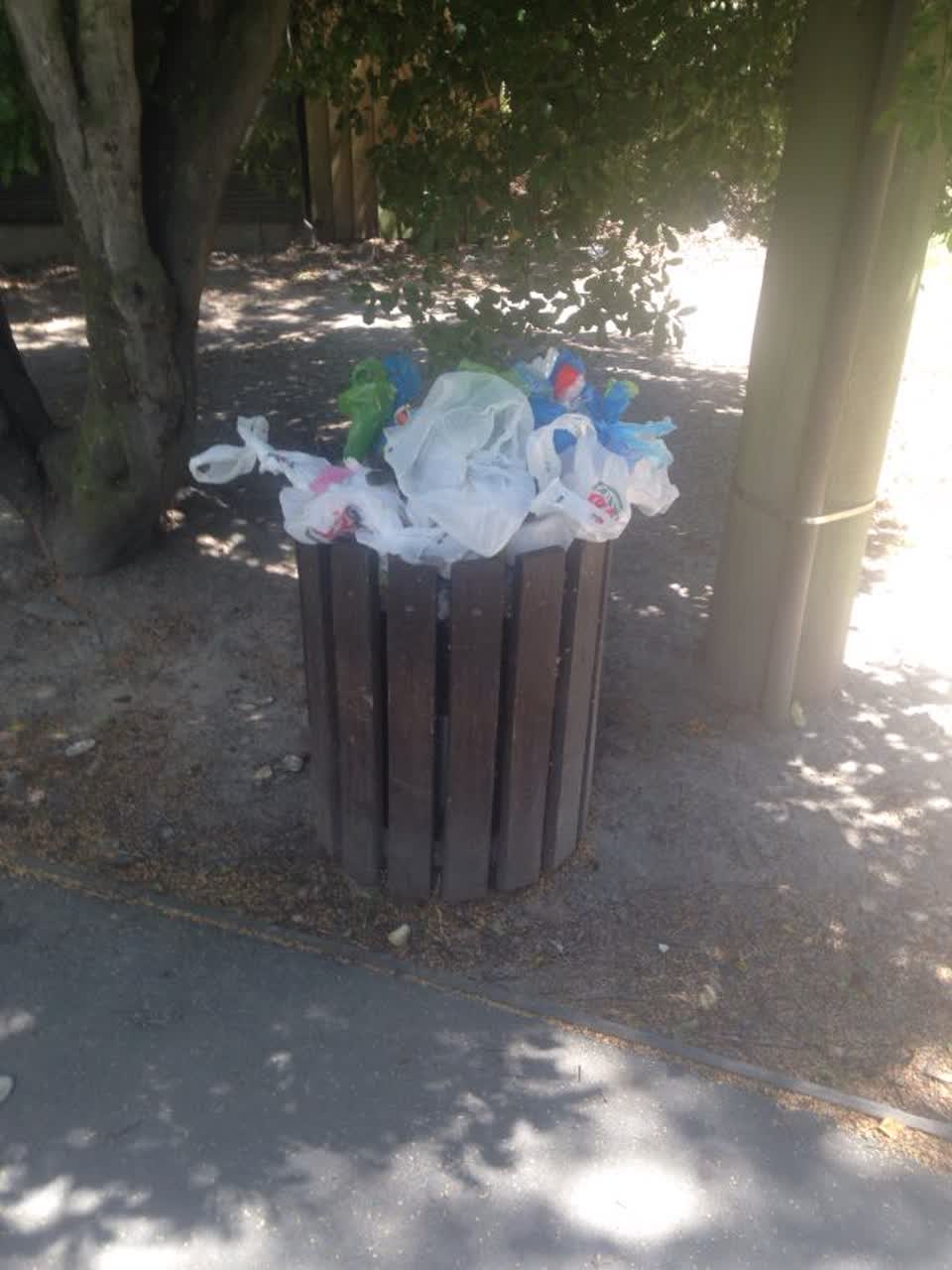 The photograph attached to this rubbish/recycling report