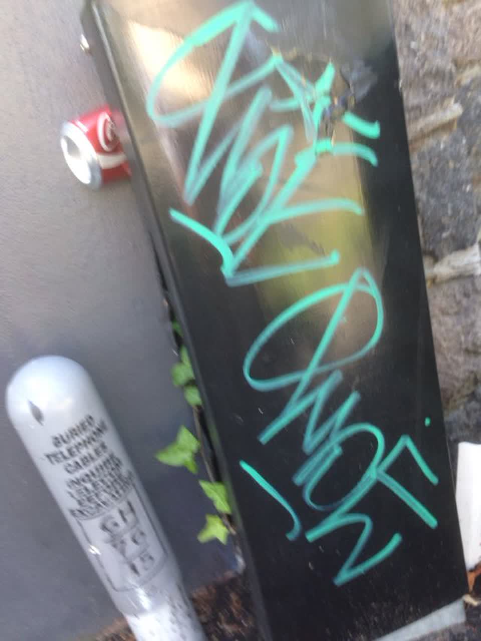 The photograph attached to this graffiti report