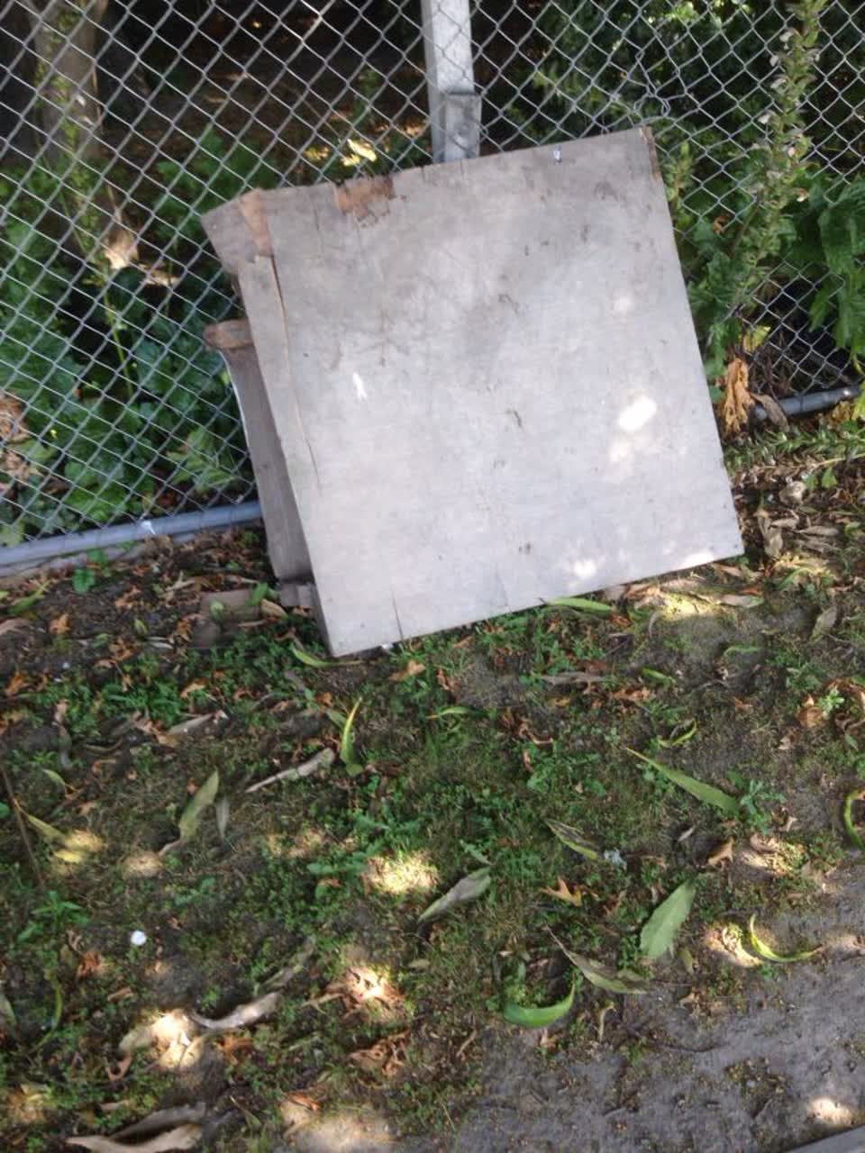 The photograph attached to this rubbish/recycling report