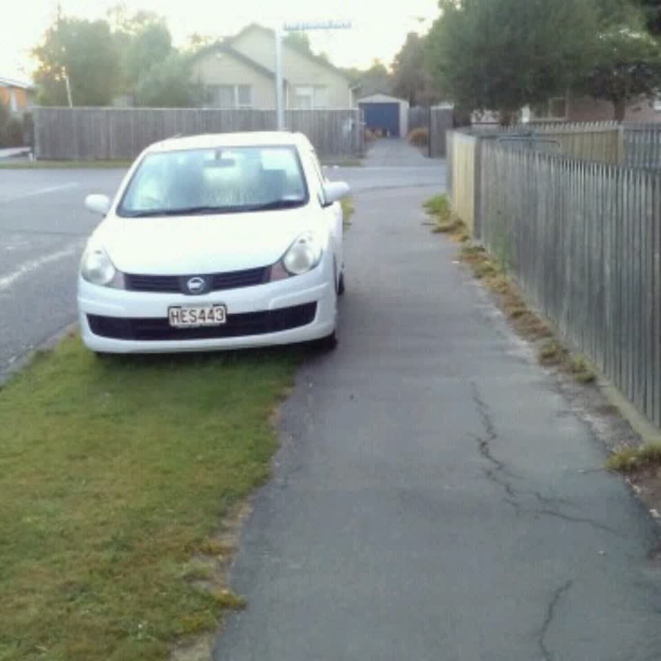 The photograph attached to this parks report