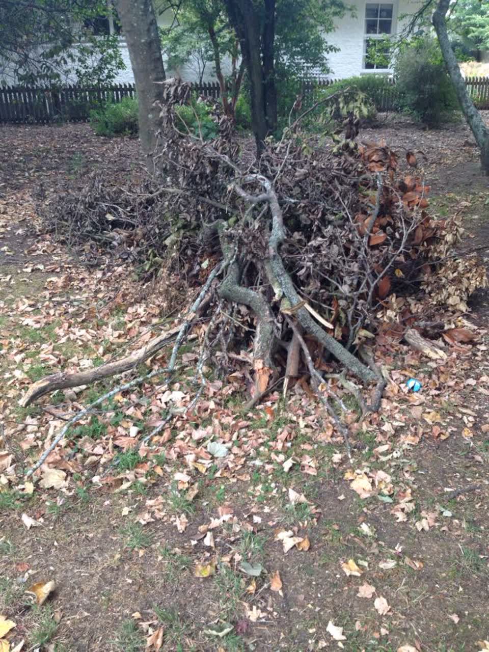 The photograph attached to this parks report