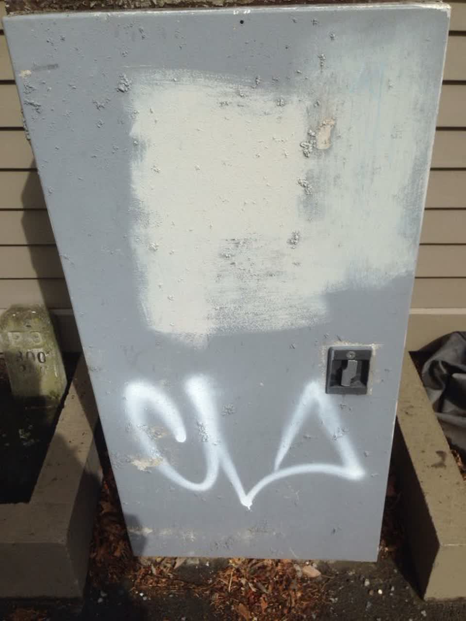 The photograph attached to this graffiti report